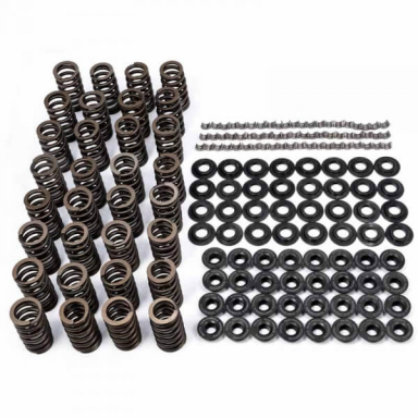 Duramax Valve Spring Kit PPE 110090050